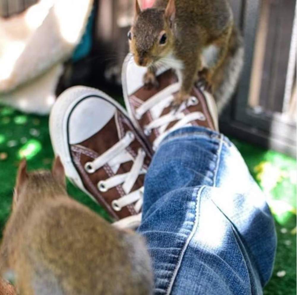 Meet your Posher, Angie